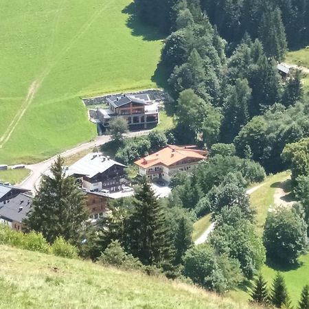 Haus Dienten Top 11 Dienten am Hochkönig Exteriör bild